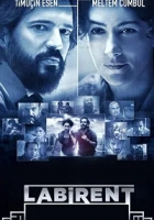 Labirent 2011 Poster