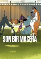 Son Bir Macera 2025 Poster