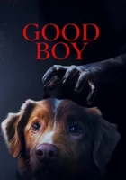 Good Boy 2025 Poster