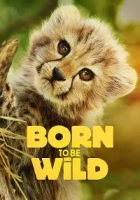 Born to Be Wild 2025 Poster