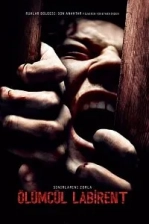 Ölümcül Labirent Poster