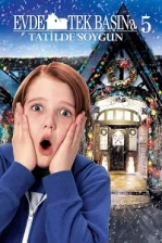 Evde Tek Başına 5 Poster