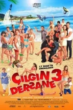Çılgın Dersane 3 Poster