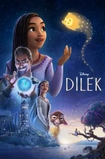 Dilek Poster