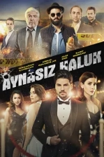 Aynasız Haluk Poster