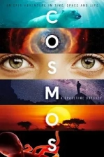 Cosmos Poster