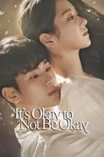 It’s Okay to Not Be Okay Poster