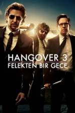 Felekten Bir Gece 3 Poster