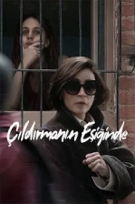 Çıldırmanın Eşiğinde Poster