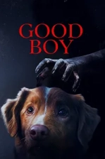 Good Boy Poster
