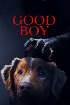 Good Boy Poster