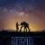 Xeno Small Poster