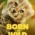 Born to Be Wild Small Poster