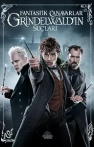 Fantastik Canavarlar: Grindelwald'ın Suçları
