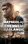 Maymunlar Cehennemi: Başlangıç