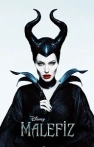 Malefiz