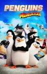 Madagaskar Penguenleri