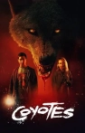 Coyotes