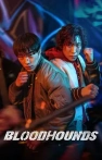 Bloodhounds